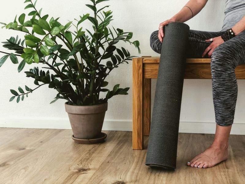 Hatha Yoga